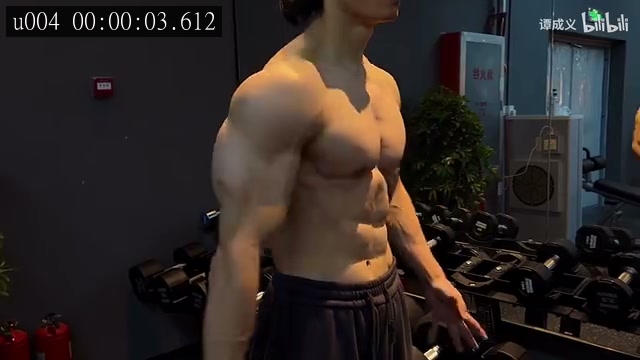 高位下拉、背部专项的来源画面