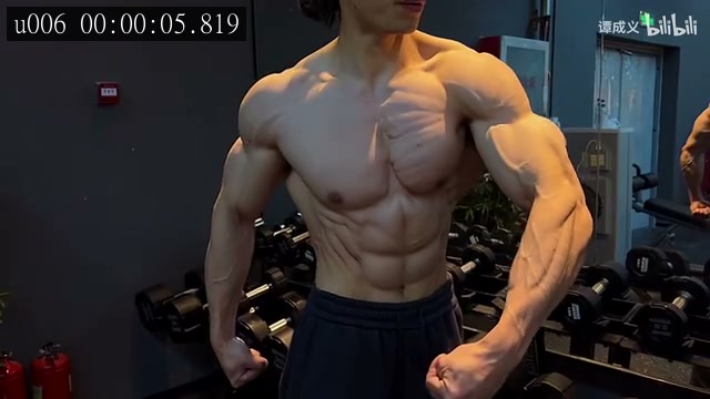 高位下拉、背部专项的来源画面